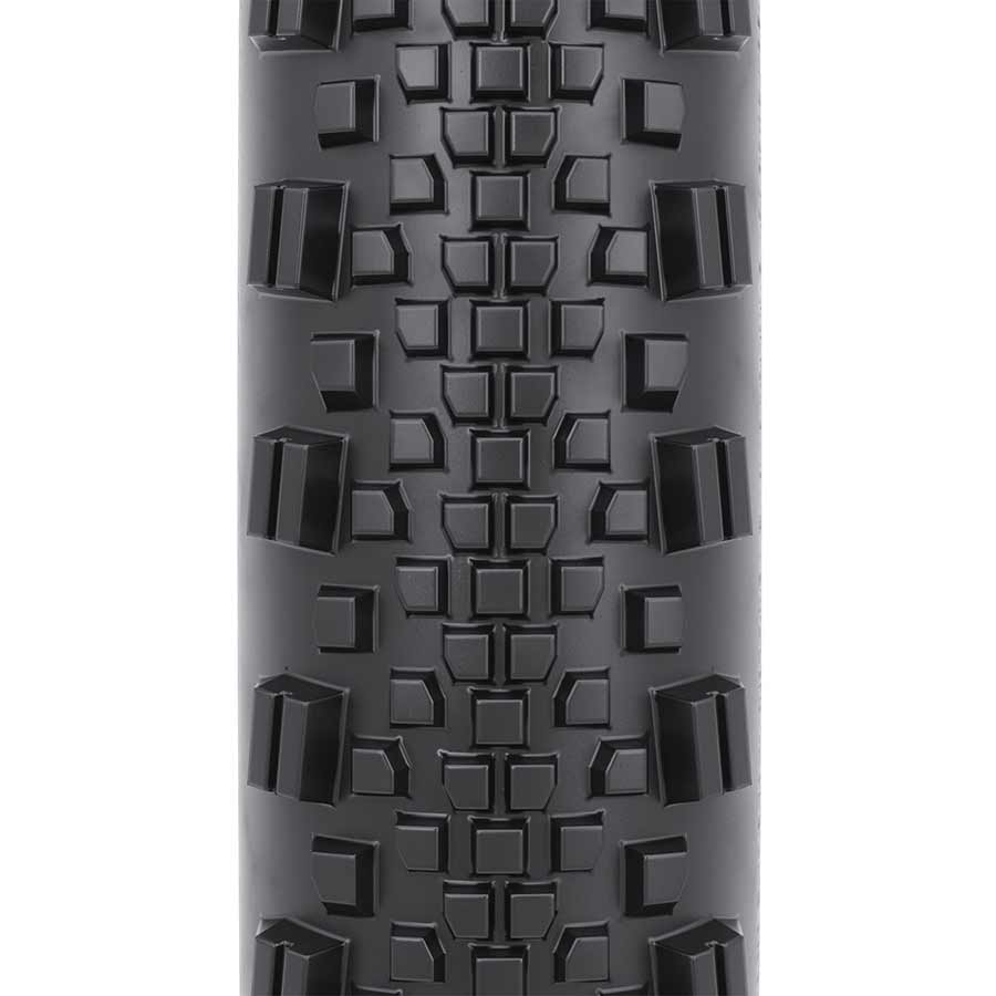 WTB Raddler Tire - 700 x 44 TCS Tubeless Folding BLK Light Fast Rolling SG2