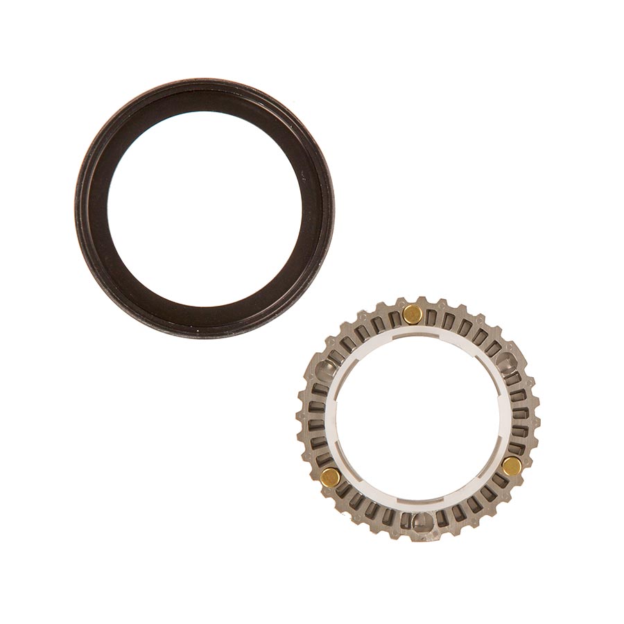 Zipp Cognition NSW Clutch Assembly and Seal - Rear Wheel