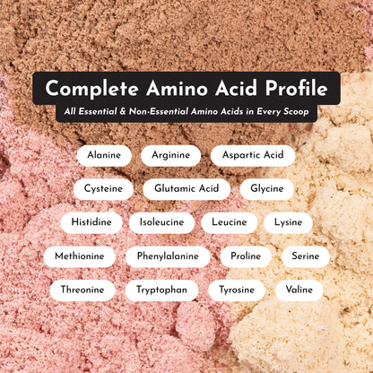 Coconut Chocolate Protein Powder