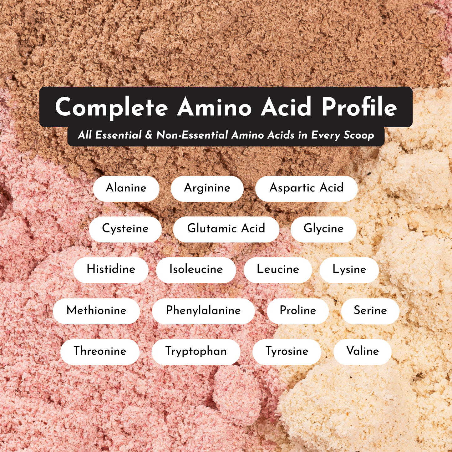 Creamy Peanut Butter Chocolate Protein Powder