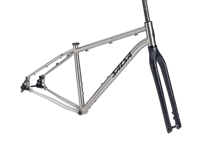 Salsa Fargo Ti Frameset - 29" Titanium Brushed Titanium Large