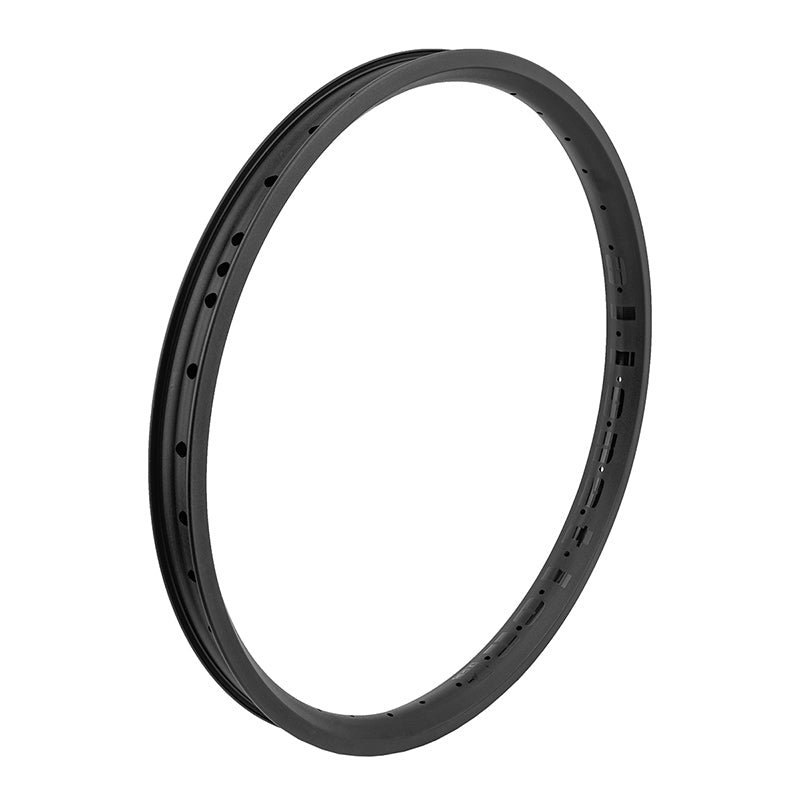 Alienation Vandal 22in 36H Rim
