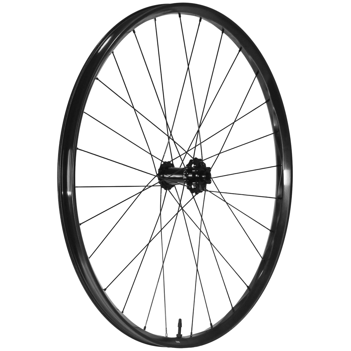We Are One Triad 29" Front Wheel 15x110 Black