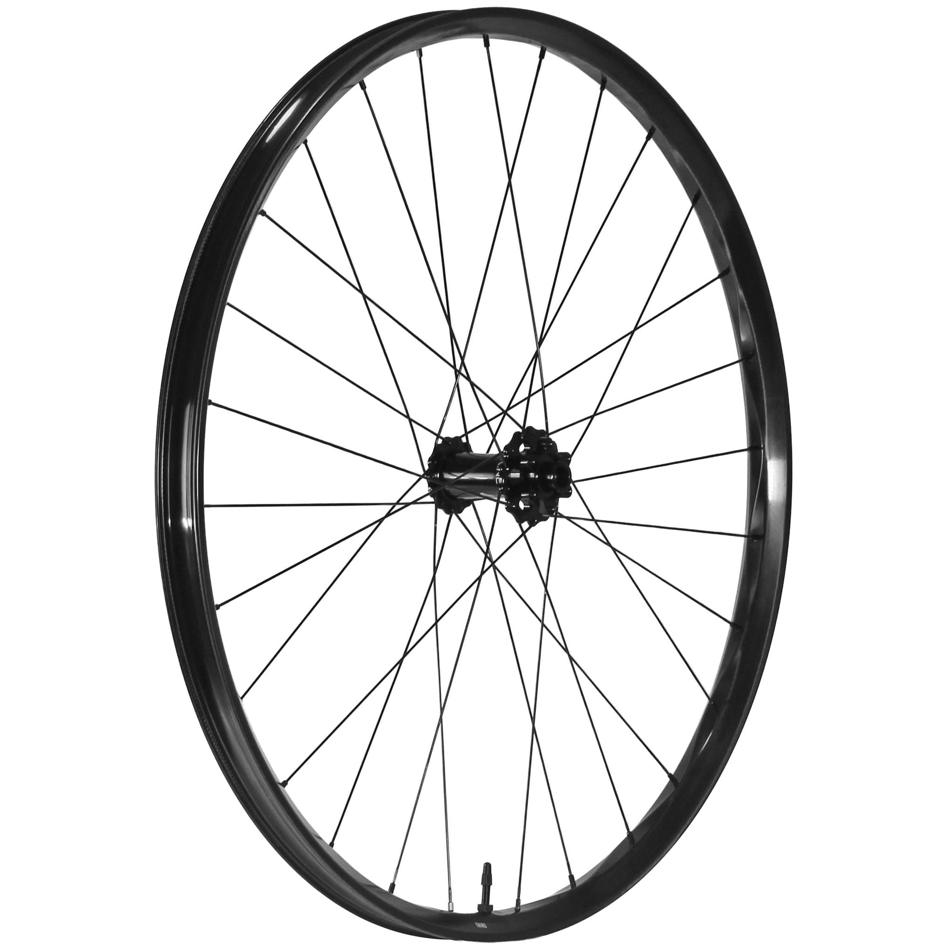 We Are One Triad 29" Front Wheel 15x110 Black