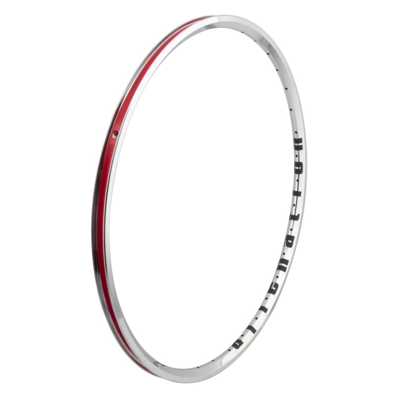 Alienation Mite G69 TCS 20in 36H Rim