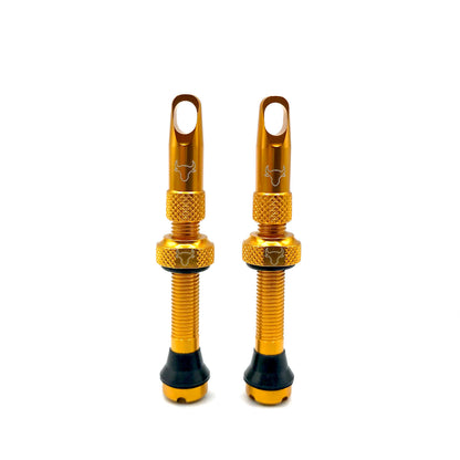 42mm Insert Compatible Tubeless Valves