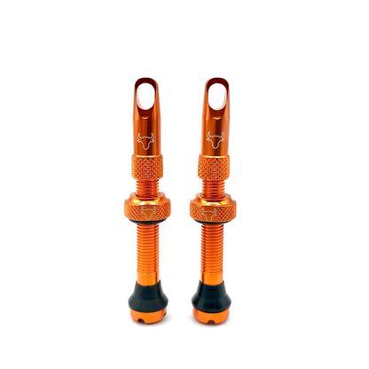 42mm Insert Compatible Tubeless Valves