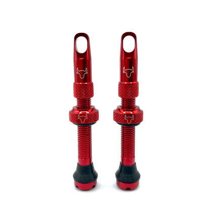 42mm Insert Compatible Tubeless Valves