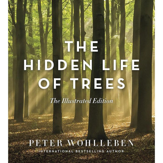 Hidden Life of Trees - The Illustrated Edition