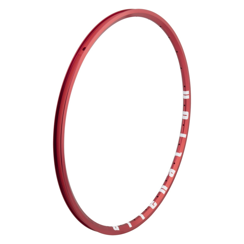 Alienation Mite G69 TCS 24in 28H Rim