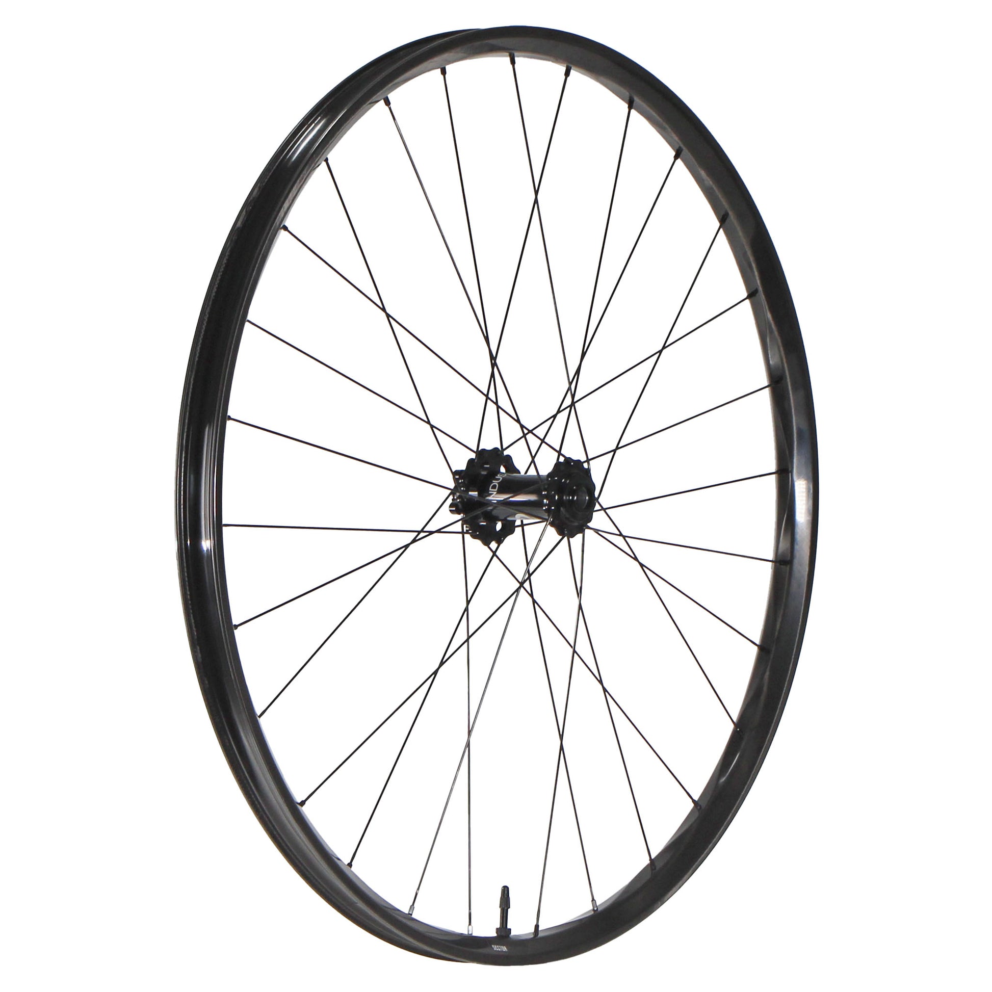 We Are One Sector 29" Front Wheel 15x110 Black