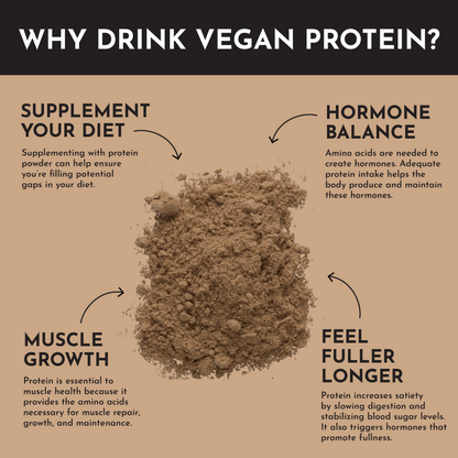 Vegan Peanut Butter Chocolate Protein Powder