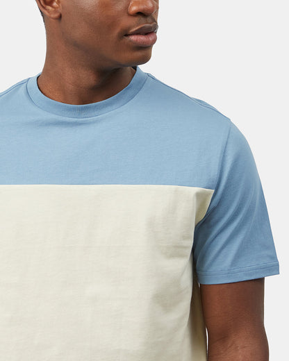 Organic Cotton Blocked Oversized T-Shirt