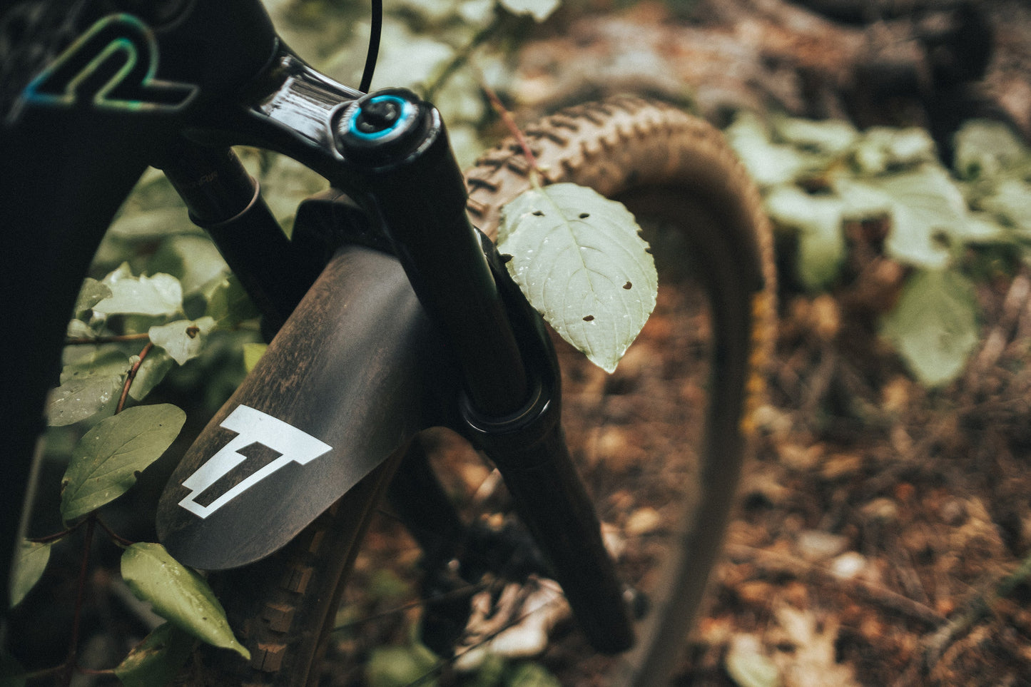 The Trail One Fender