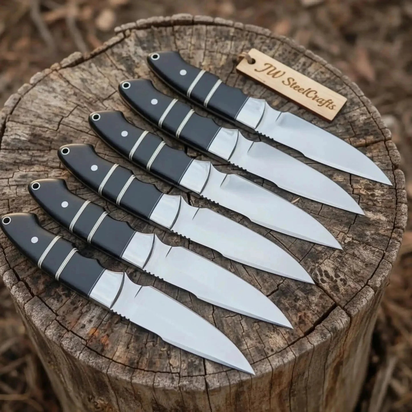 Handmade Full Tang Hunting Knife Set 6-Piece High Carbon Blades with Black Resin Handles