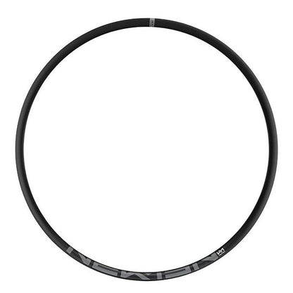 NEWMEN - Rim - Evolution A.30