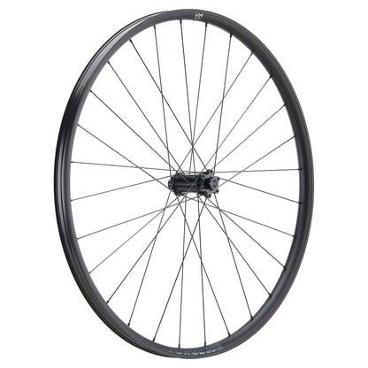 NEWMEN - Wheel (Rear) - Forge 30 Light | Cross Country - [D]