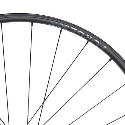 NEWMEN Front Wheel - Forge 30 light 29" 28h FADE SP 6B 15x110 - XC