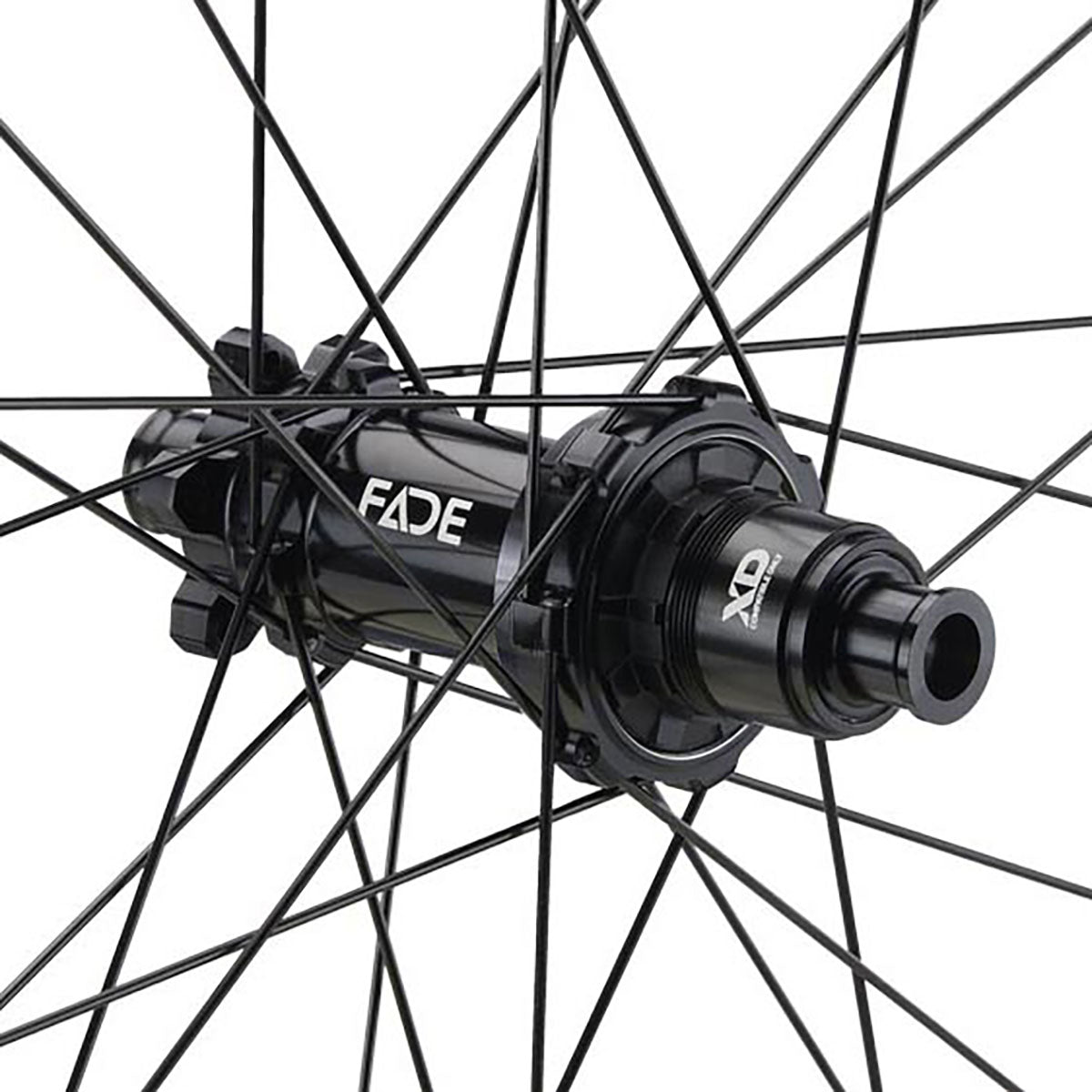 NEWMEN - Wheel (Rear) - Phase 30 Base | Trail - [D]