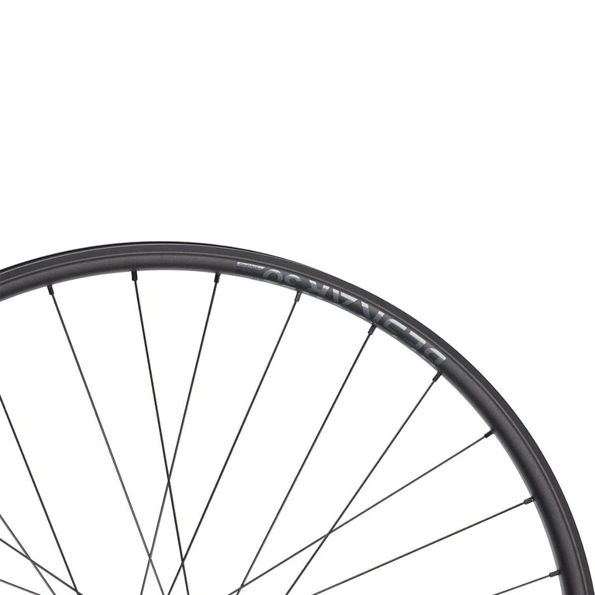 NEWMEN - Wheel (Rear) - Beskar 30 Strong | Enduro - [D]