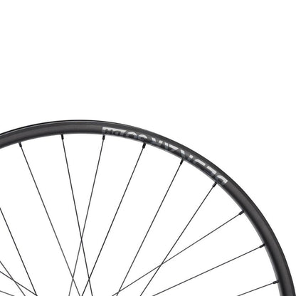 NEWMEN - Wheel (Rear) - Beskar 30 DH | Downhill - [D]