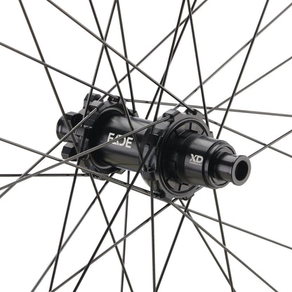 NEWMEN - Wheel (Rear) - Forge 30 DH | Downhill - [D]