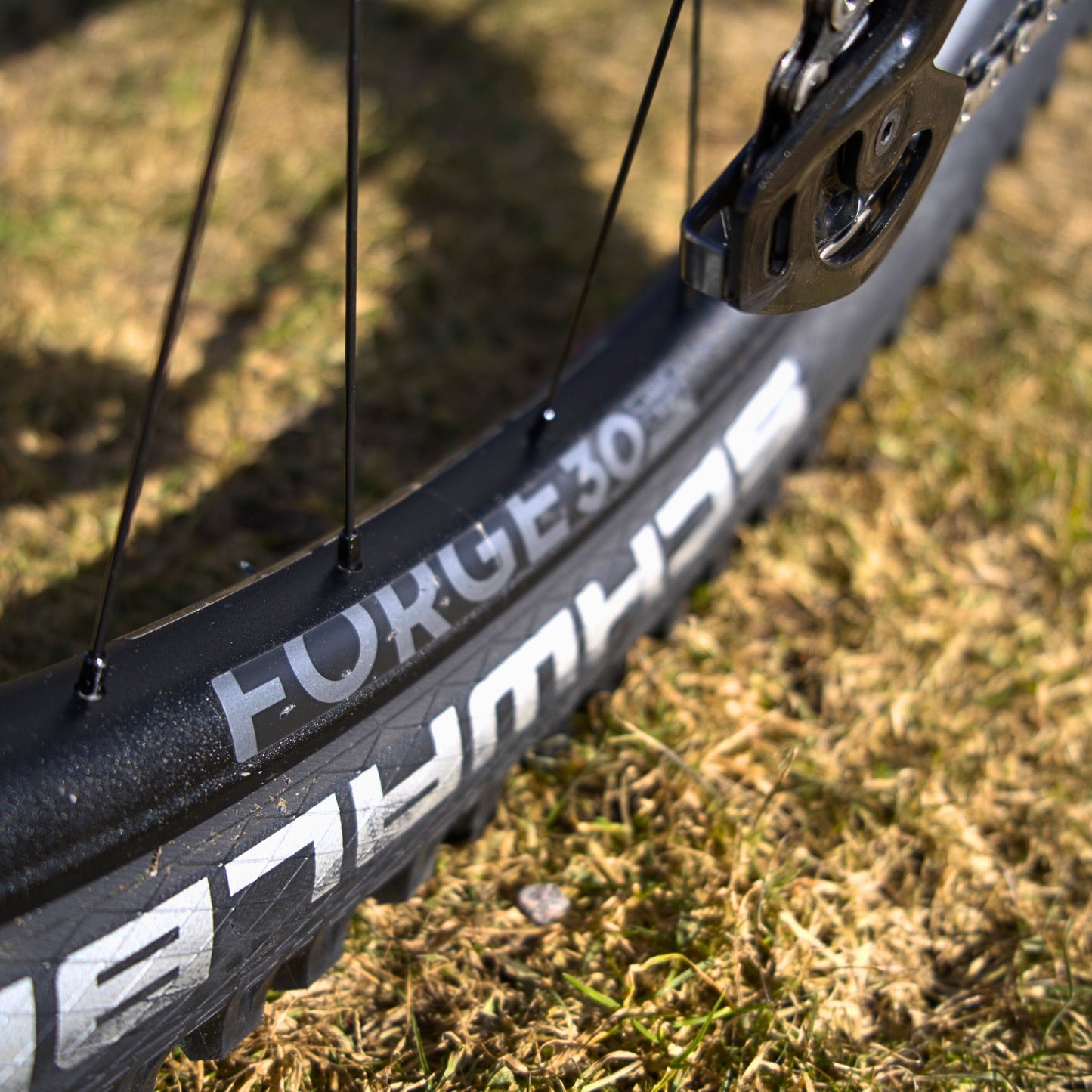 NEWMEN - Wheel (Front) - Forge 30 DH | Downhill - [D]
