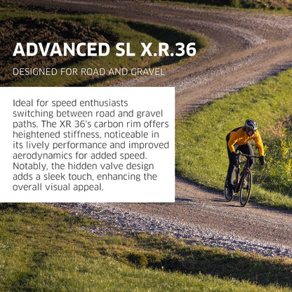 NEWMEN Rear Wheel - Advanced SL X.R.36 29" 24h Fade R SP CL 12x142 MS - Gravel