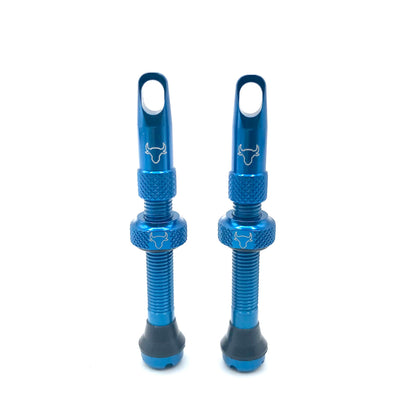 42mm Insert Compatible Tubeless Valves