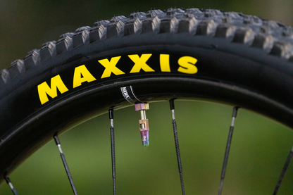 The Trail One Tubeless Valve Stems