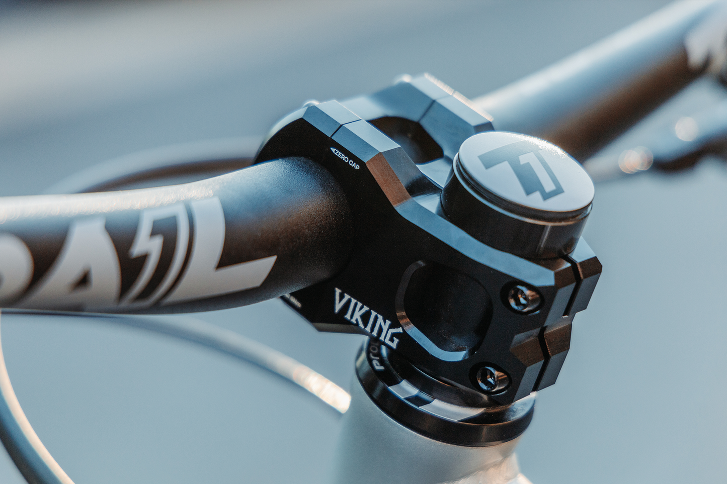 The Viking Stem
