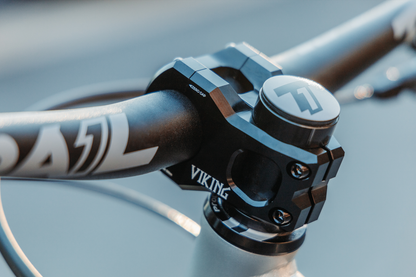 The Viking Stem