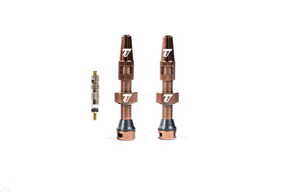 The Trail One Tubeless Valve Stems