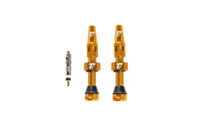 The Trail One Tubeless Valve Stems