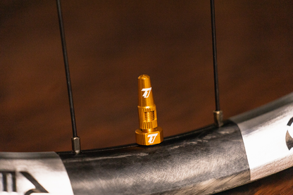 The Trail One Tubeless Valve Stems
