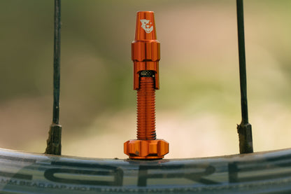 Tubeless Valve Stem Kit for Clik Valve