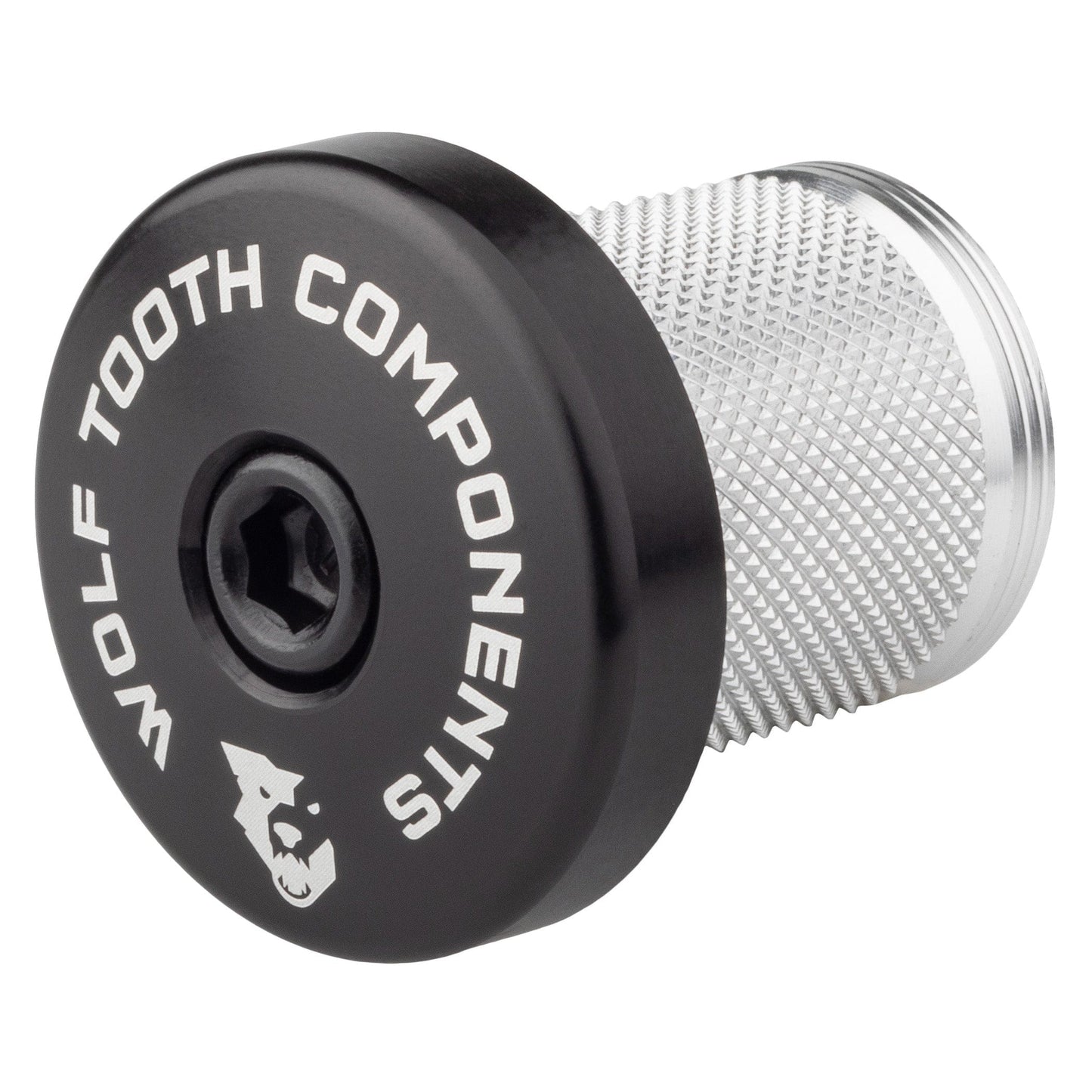 Compression Plug with Integrated Spacer Stem Cap
