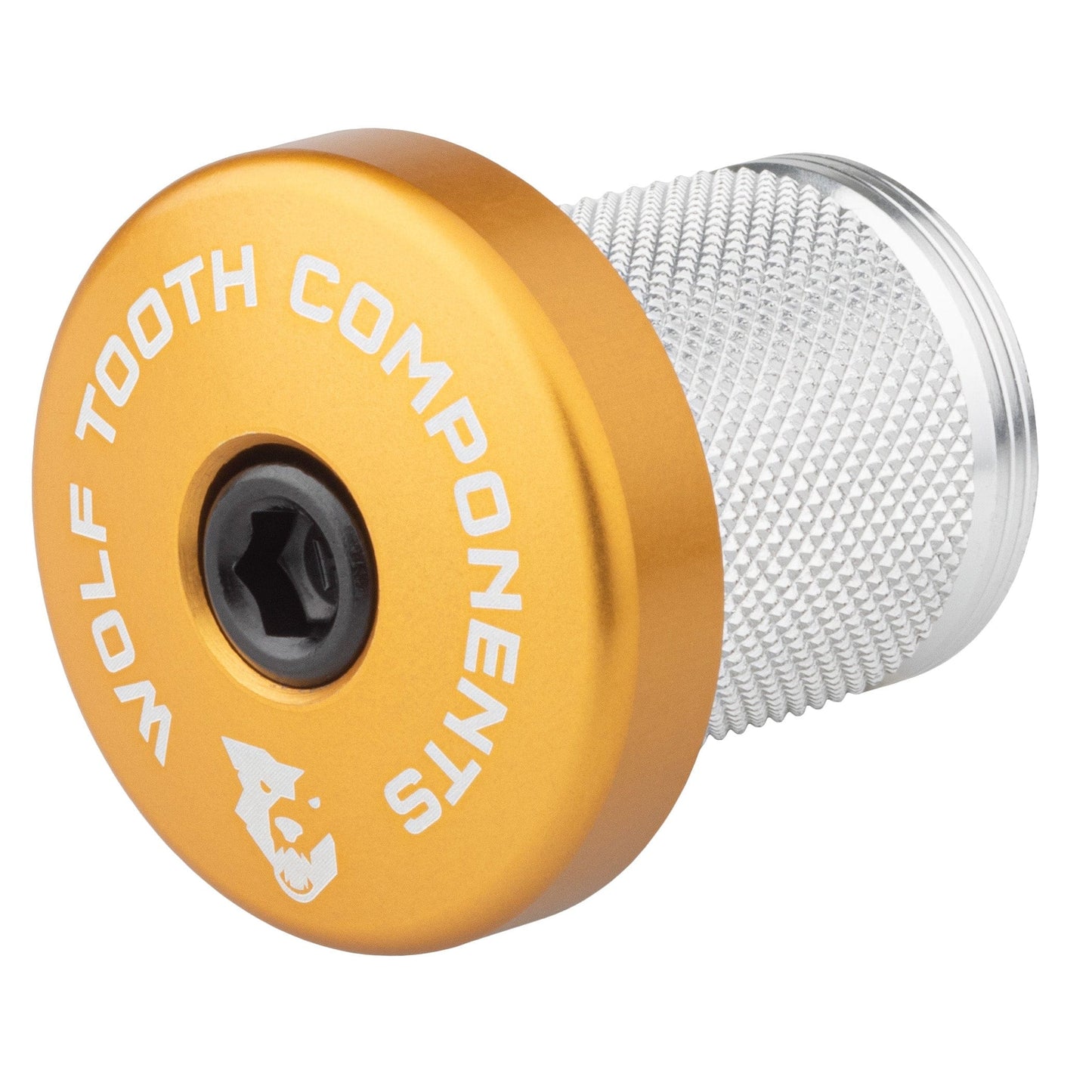 Compression Plug with Integrated Spacer Stem Cap