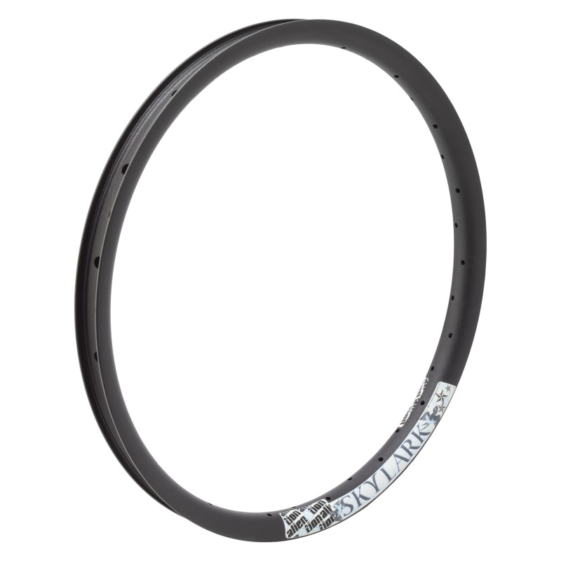 Alienation Skylark 20in 36H Rim