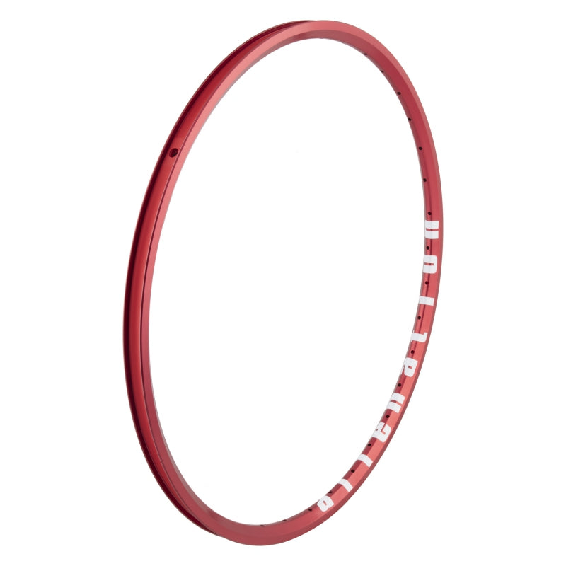 Alienation Mite G69 TCS 24in 36H Rim