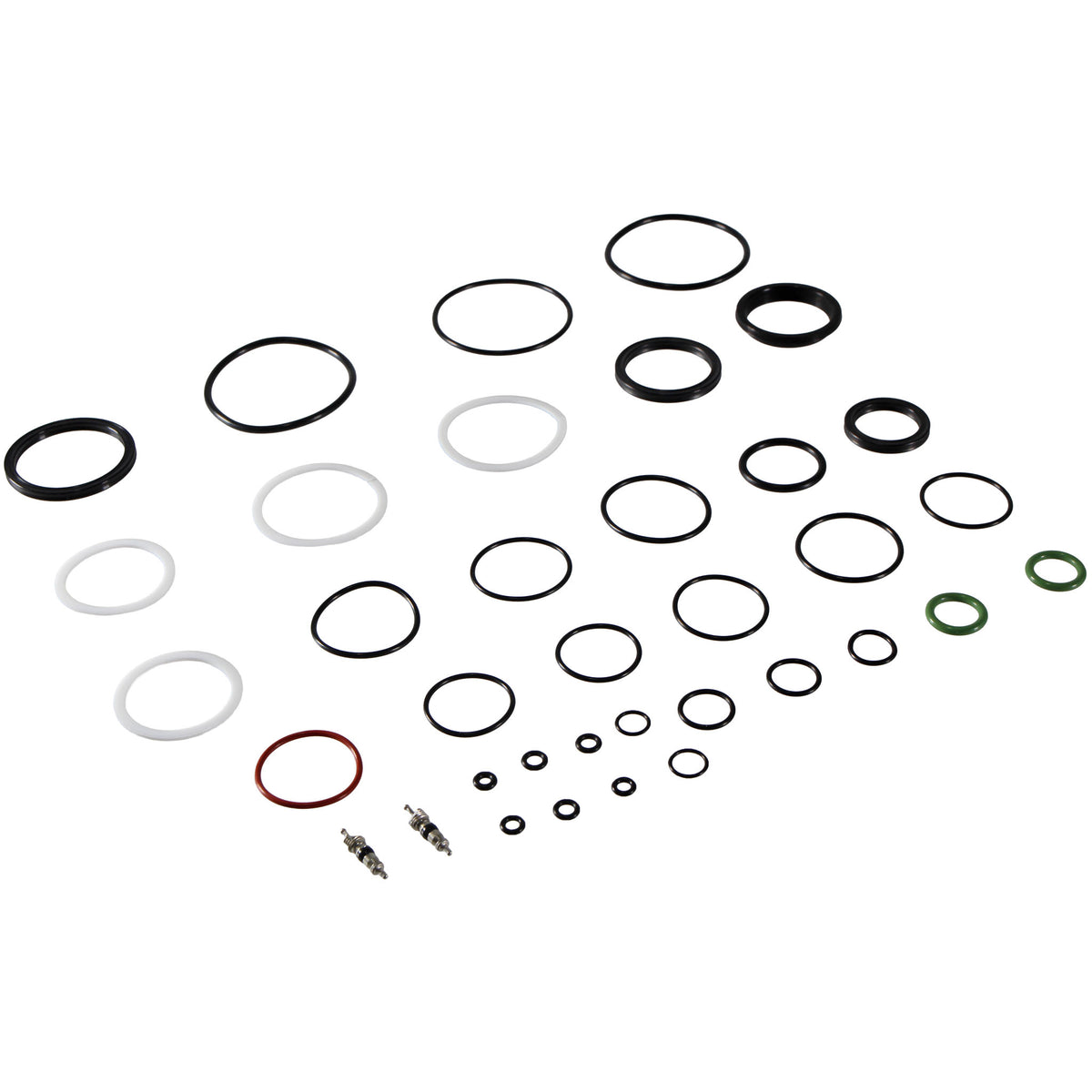 Anso Suspension Fox Float X2 Live Valve Neo Air Can & Damper Service
