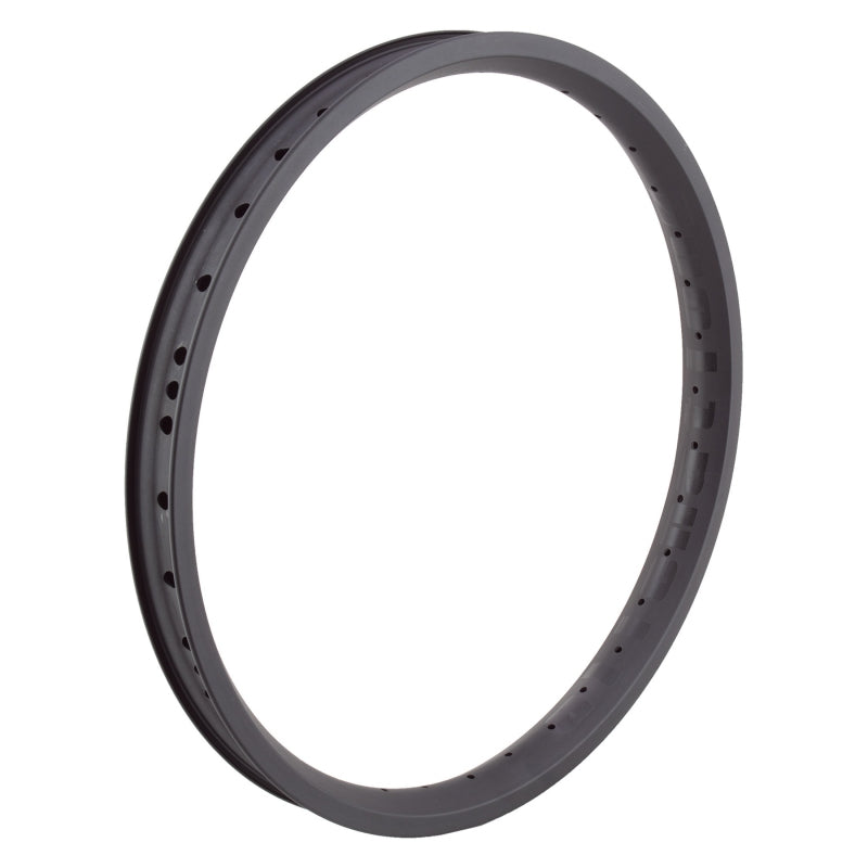 Alienation Vandal 20in 36H Rim