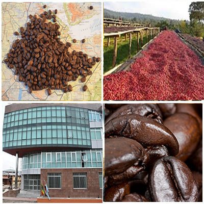 Ethiopia Natural Single Origin- Medium Light Roast