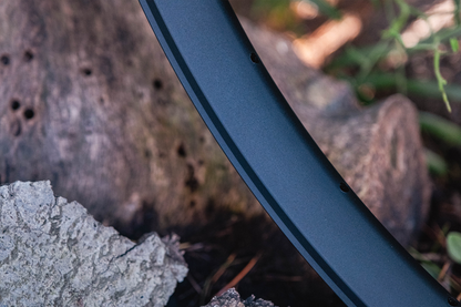 The Shed Rim