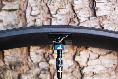 The Shed Rim