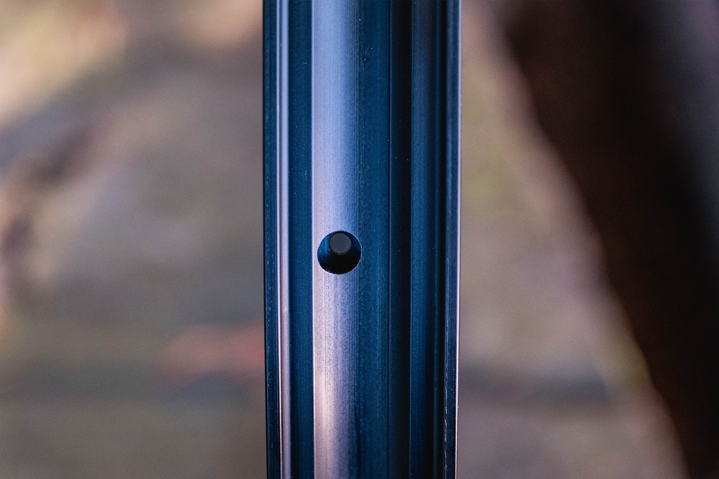 The Shed Rim