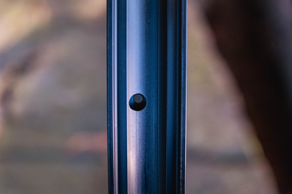 The Shed Rim
