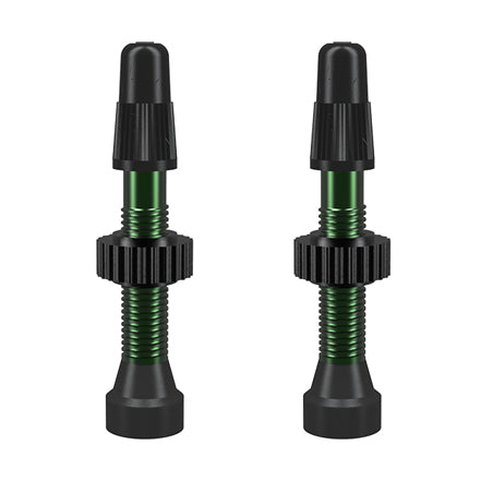 WTB Aluminum TCS Tubeless Valves: 34mm Green Pair